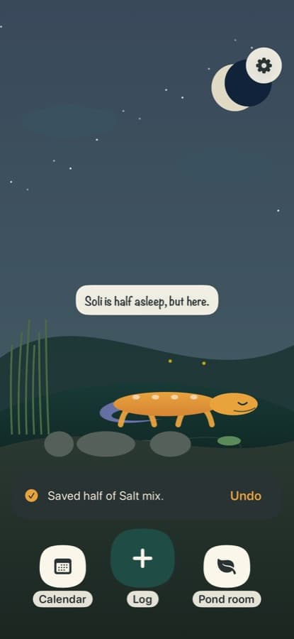 A pond that keeps you company